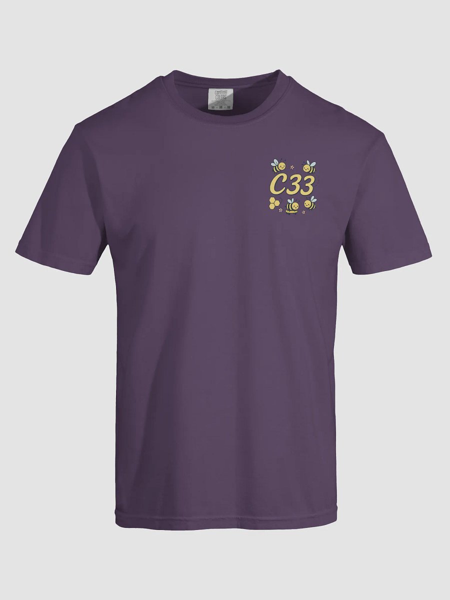 C33 Beeby Heavy Tee product image (63)