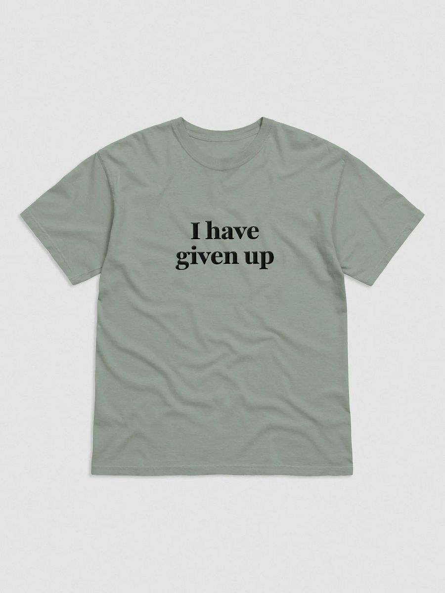'I Have Given Up' Embroidered Tee product image (1)