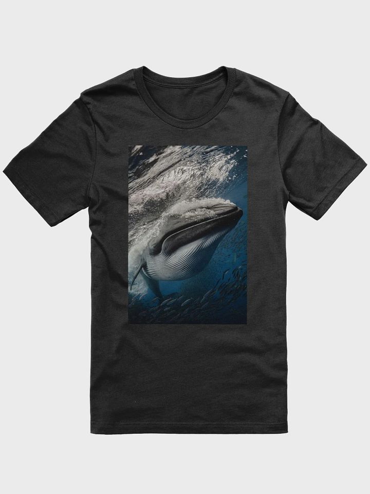 Bryde's Whale-T-Shirt product image (1)