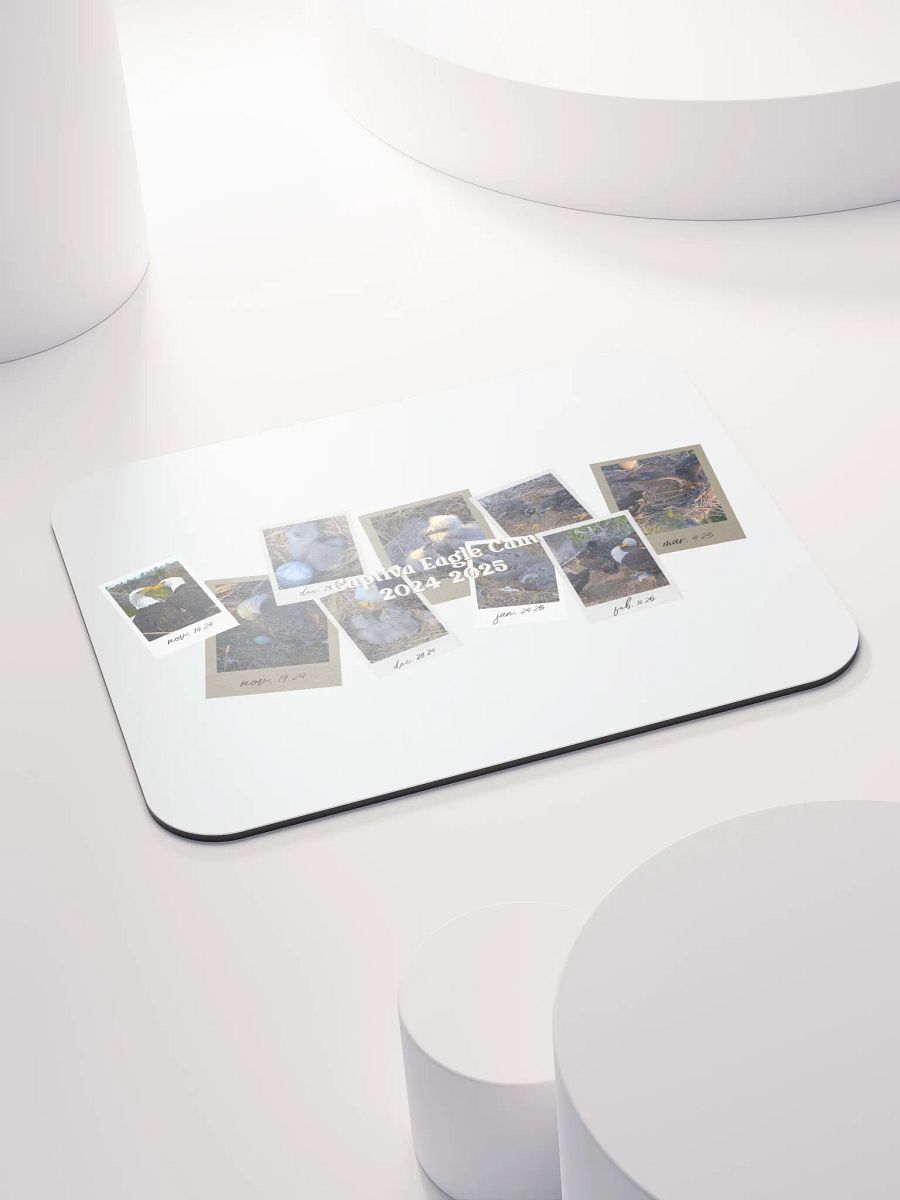 Journey | Mouse Pad | Captiva Eagle Cam 2024-2025 product image (3)