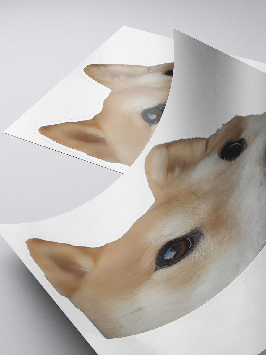 Dandelion Peek (Sticker) product image (4)