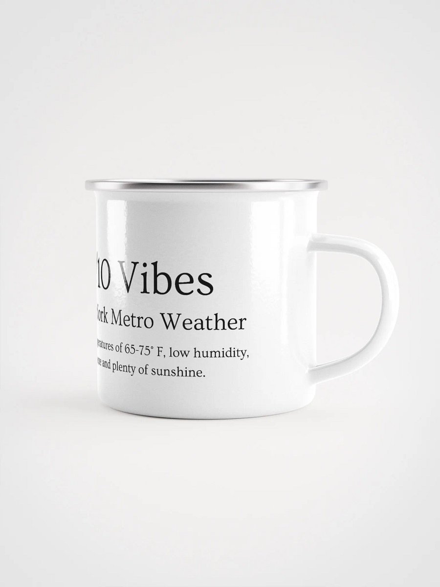 10/10 Vibes Mug product image (1)
