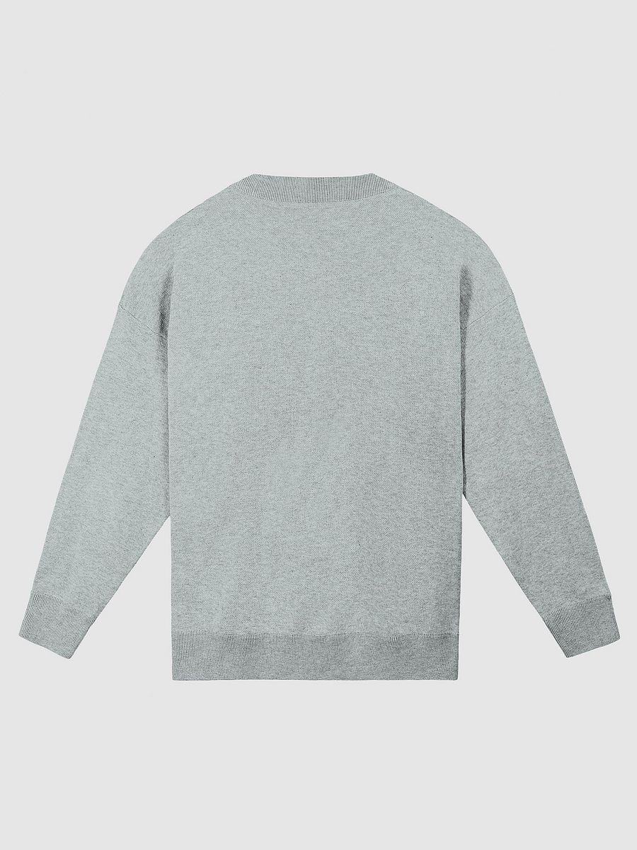 EXCLAIMING MENTALLY (lg. design, white and light blue) knitwear relaxed crewneck product image (9)