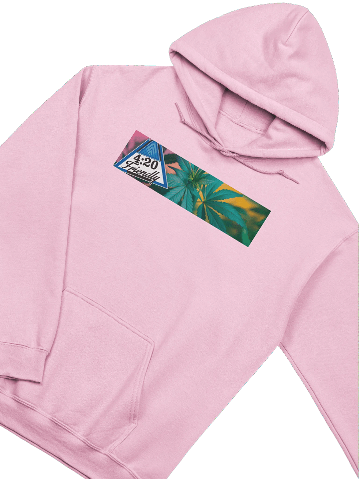 Hoodie product image (2)
