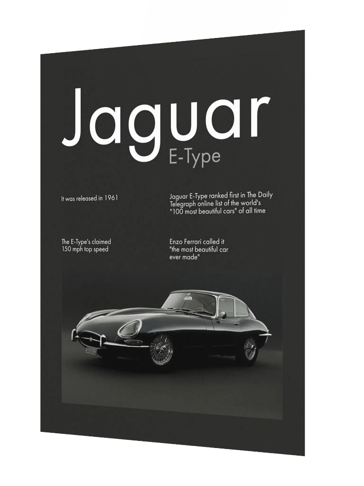 JAGUAR ETYPE product image (2)