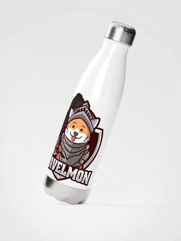 stainless steel water bottle product image (2)