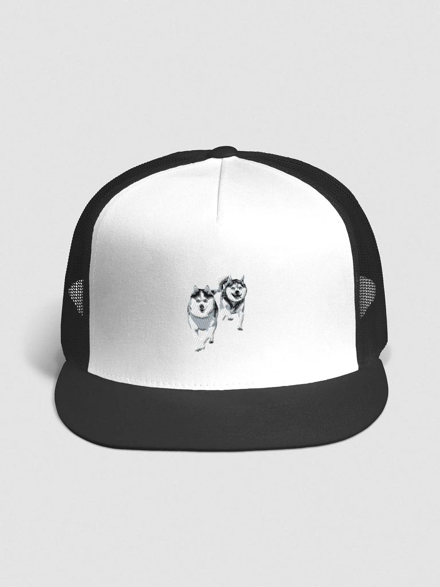 Cute Klee Kai puppies - Hat product image (5)