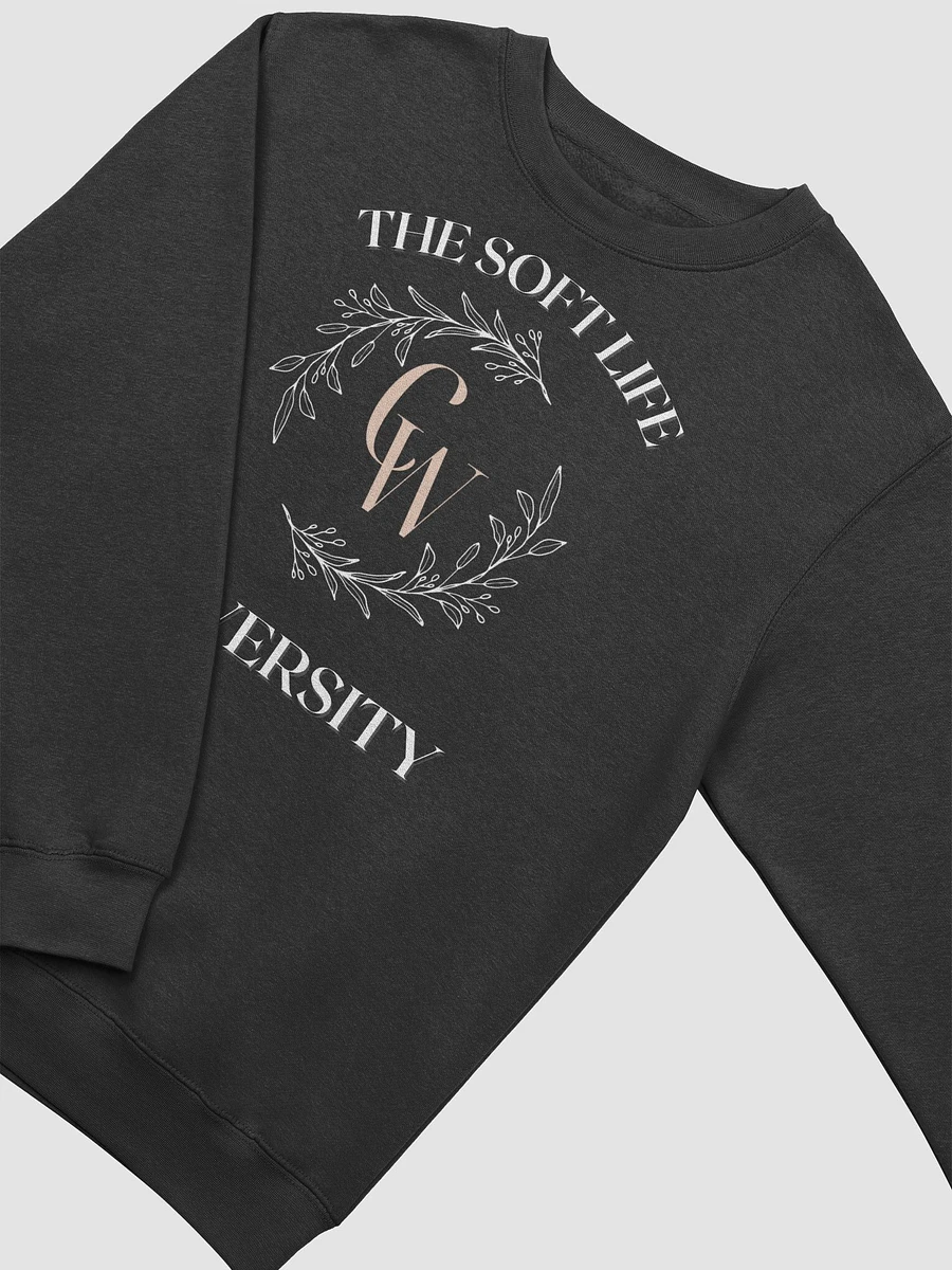 The Soft Life Sweatshirt | Black product image (3)