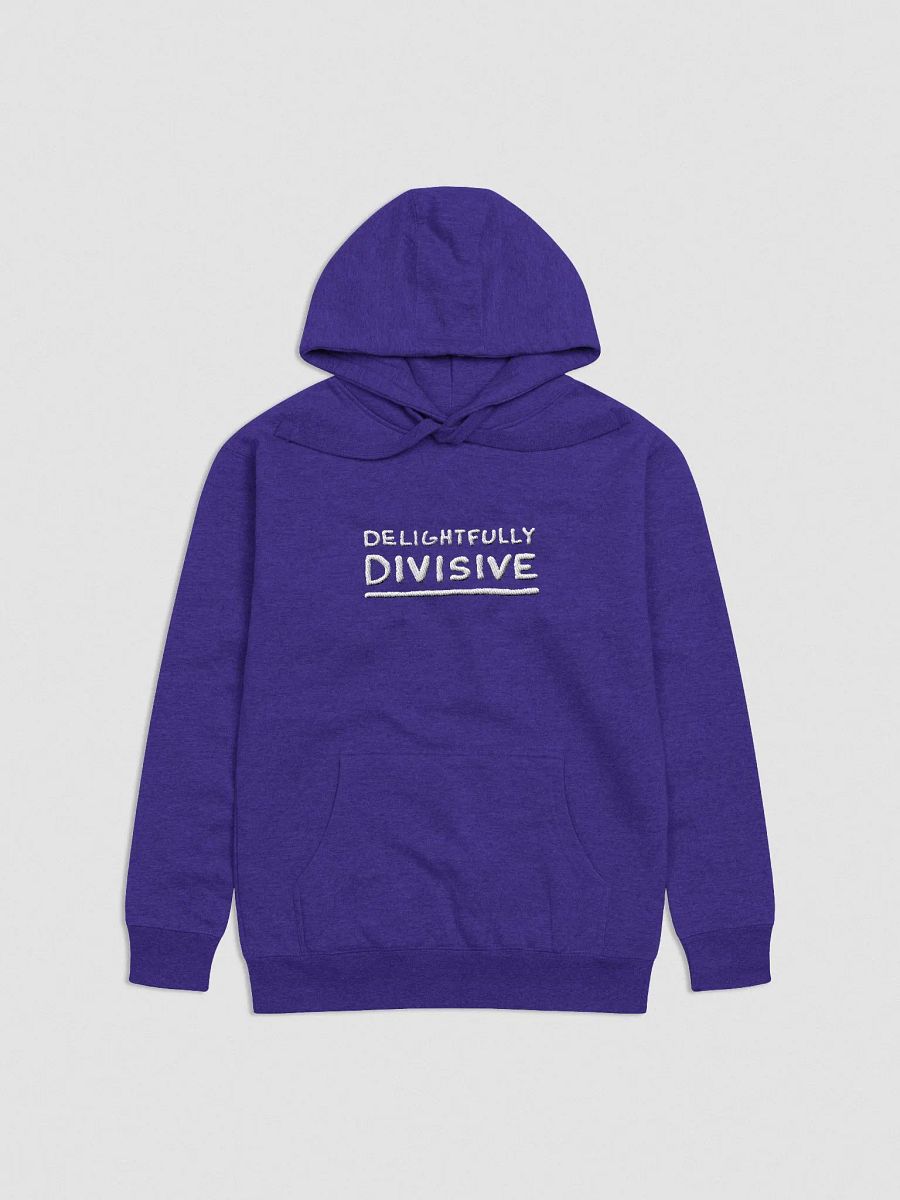DELIGHTFULLY DIVISIVE (lg., white design) embroidered heavyweight hoodie product image (26)