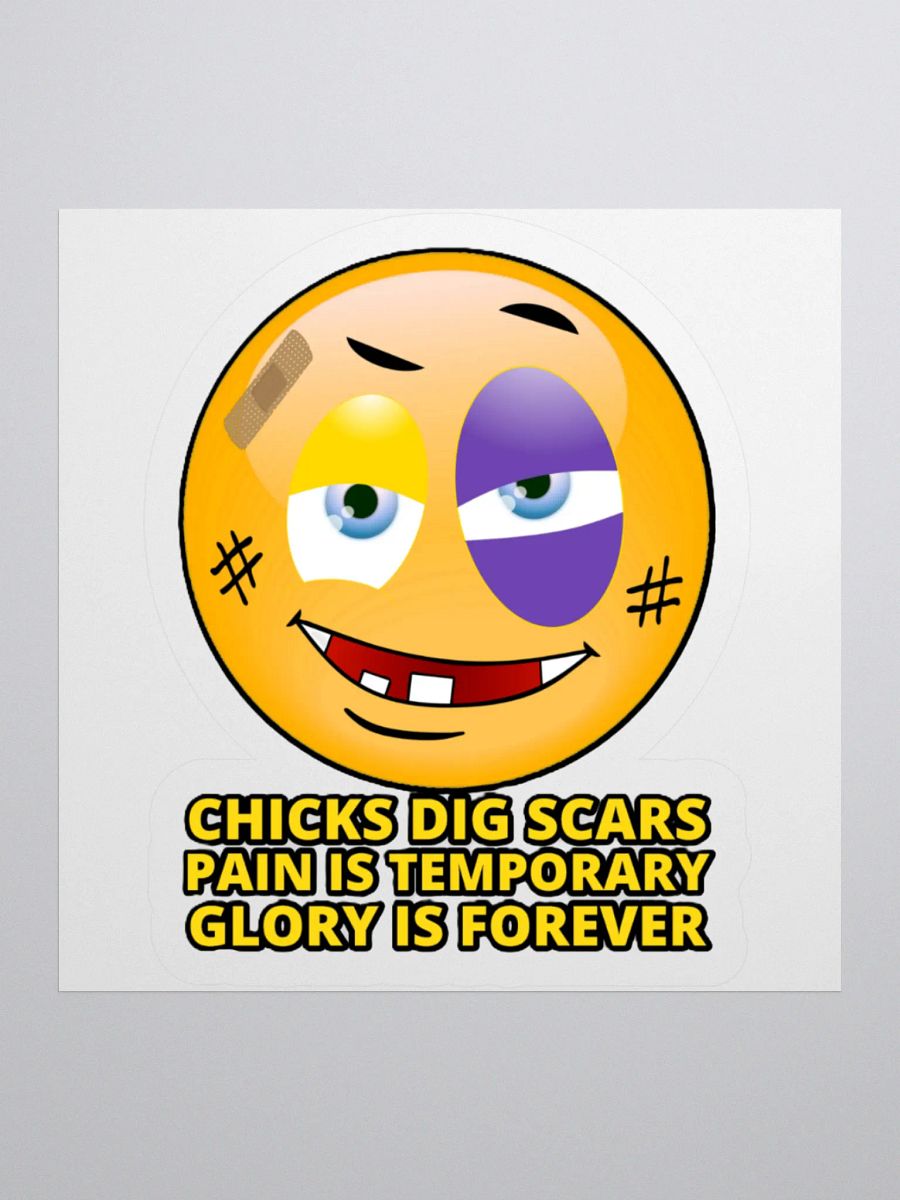 CHICKS DIG SCARS, PAIN IS TEMPORARY, GLORY IS FOREVER product image (3)