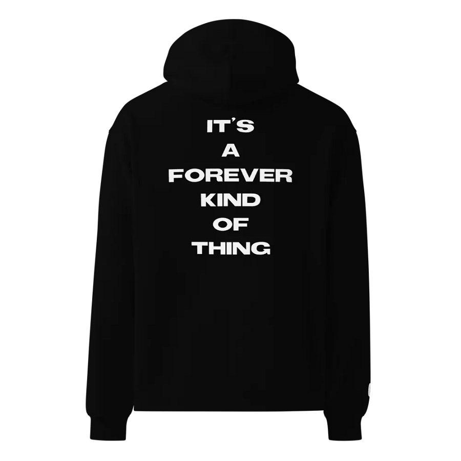 Chronical Forever Hoodie product image (4)