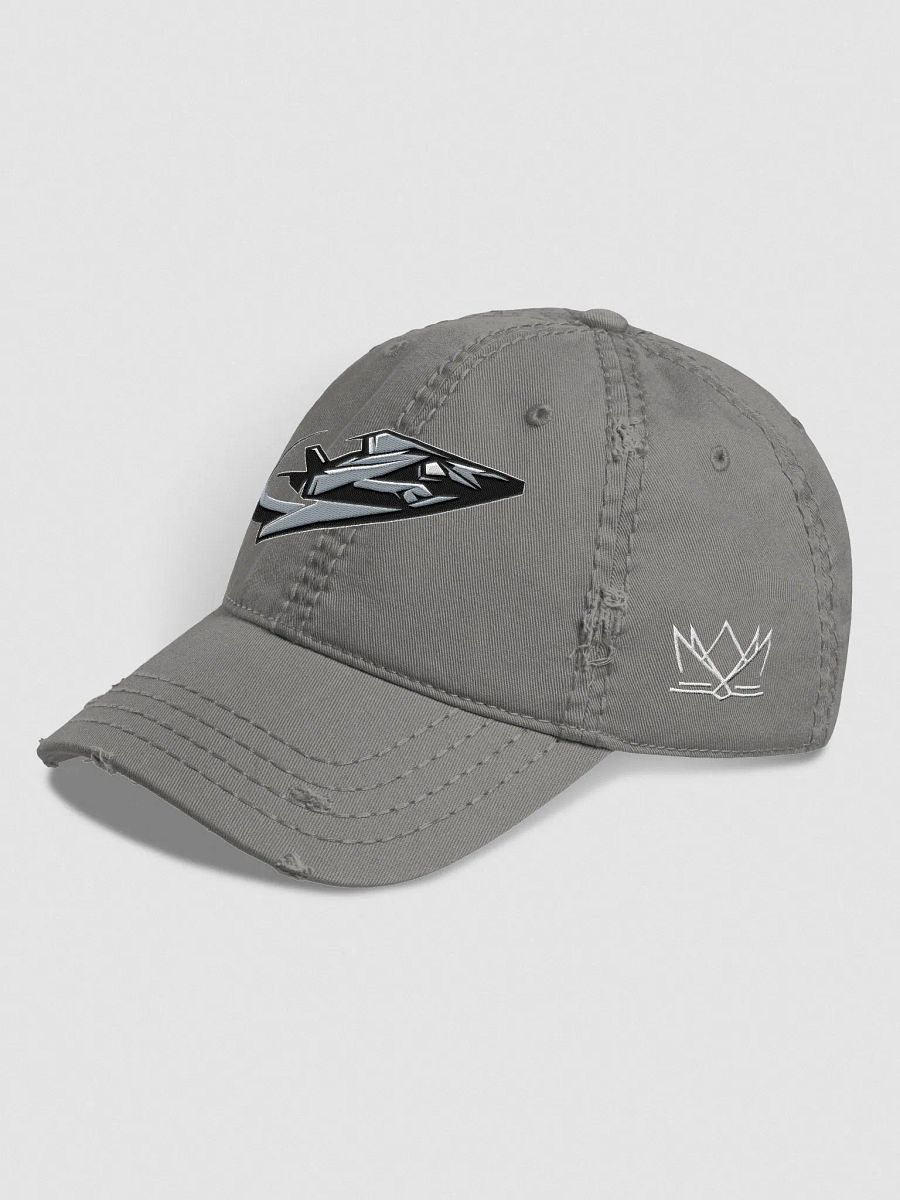Virginia Beach Nighthawks Distressed Dad Hat product image (2)