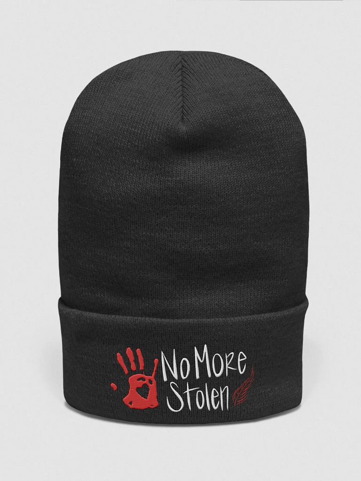 No More Stolen Beanie product image (1)