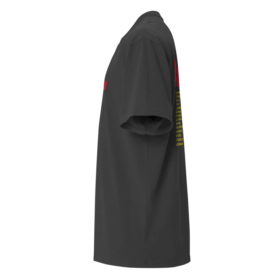 ⚡️ ANTHURIUM WORLD TOUR ⚡️ oversized tee product image (7)