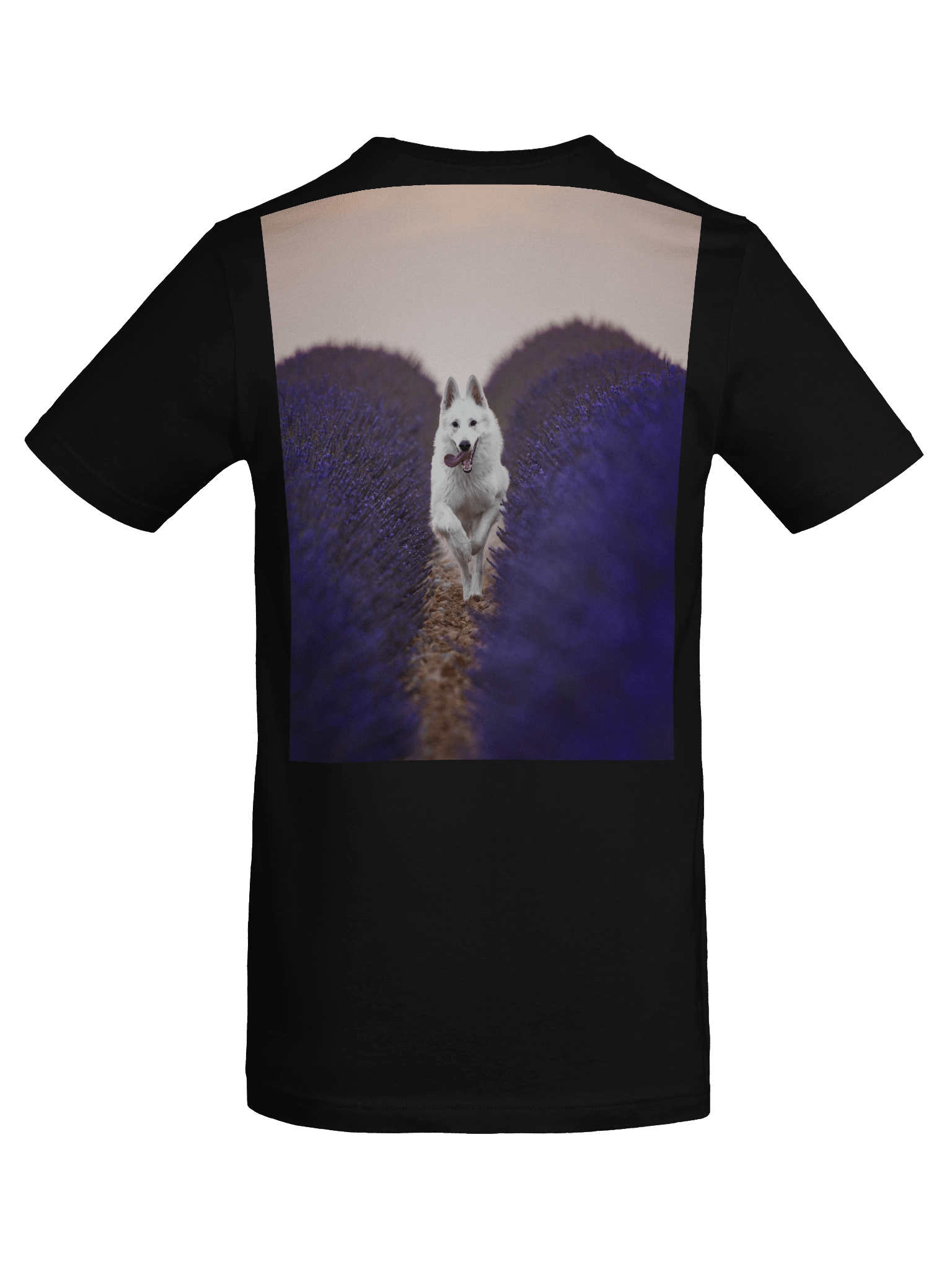 Rasta in the lavender fields product image (38)