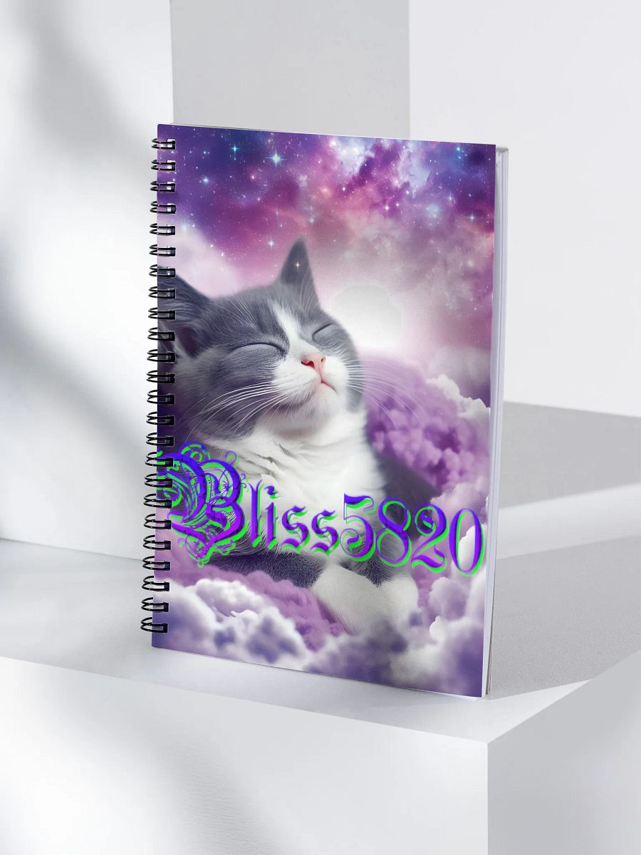 bliss's book of blessings product image (4)