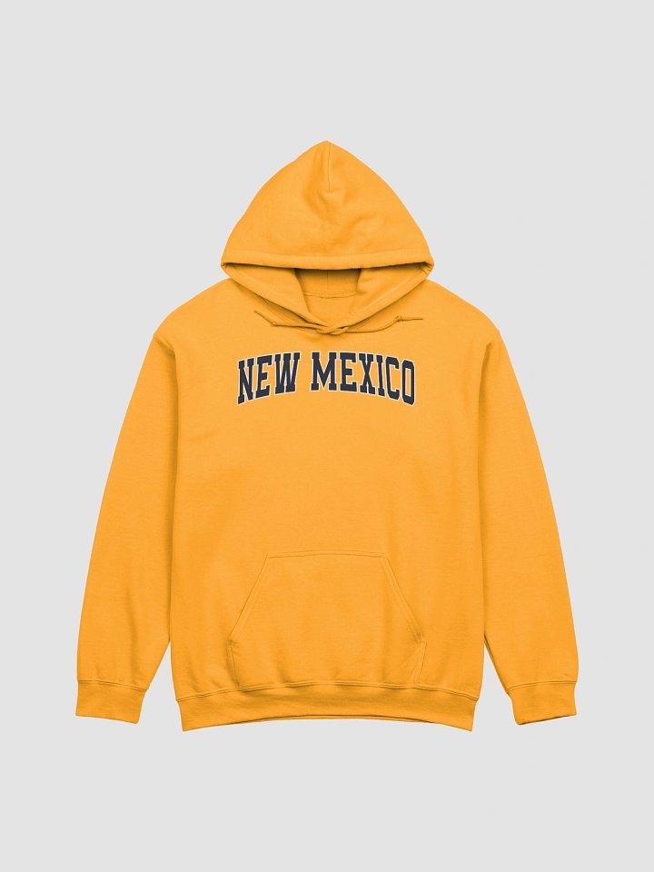 New Mexico Vintage Stylish Classic Hoodie product image (1)