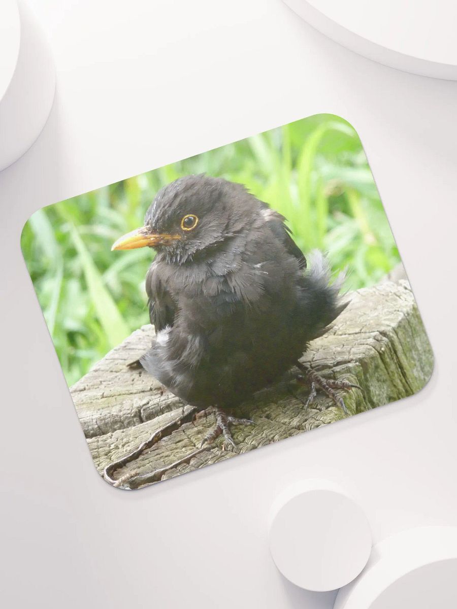 Classic Mouse Pad - The common blackbird #2 product image (7)