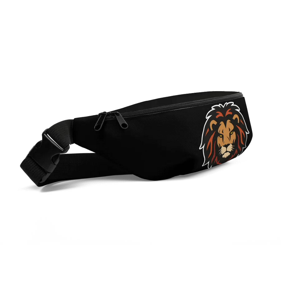 ISI ODUM Emblem Fanny Pack product image (9)
