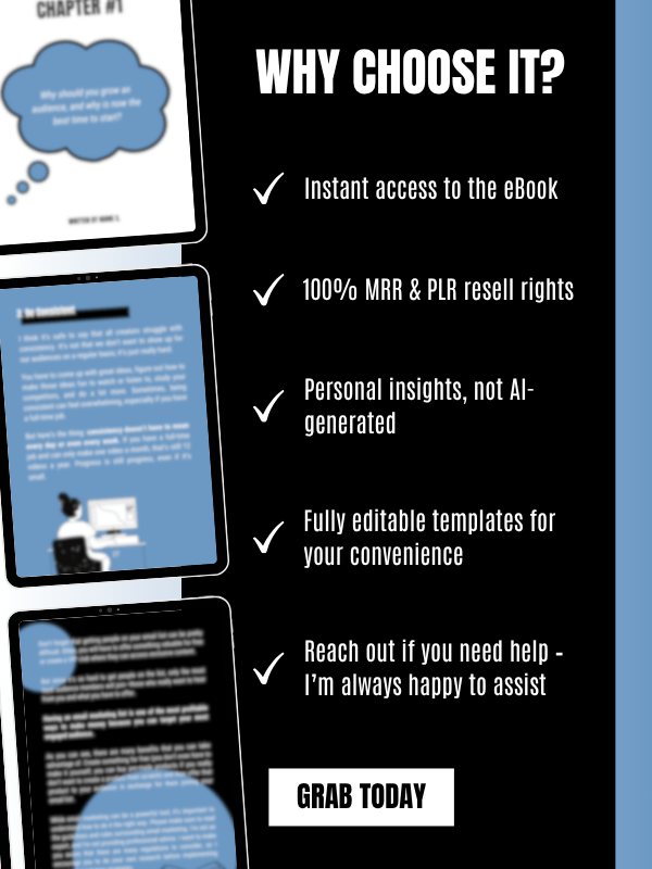 MRR/PLR eBook for Content Creators product image (7)