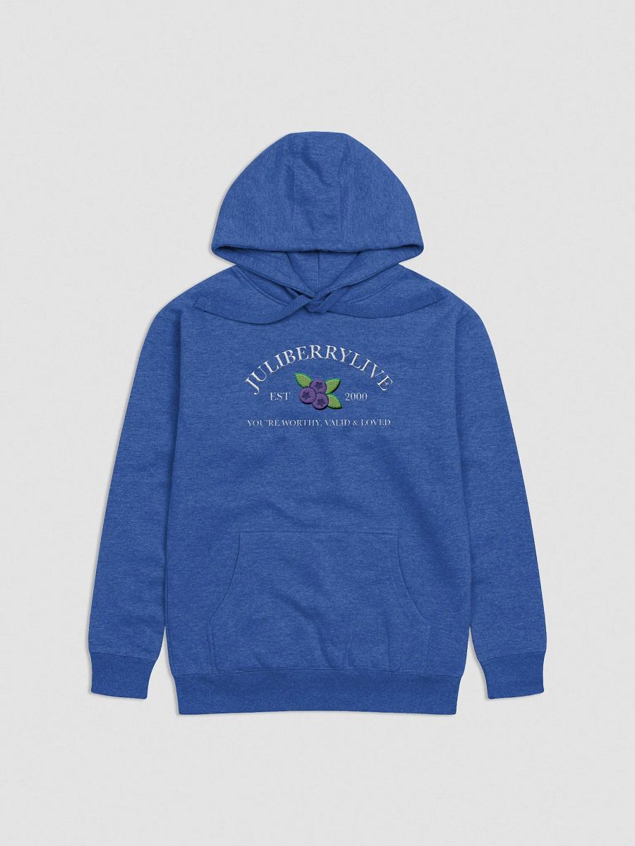 Embroidered Worthy Hoodie product image (4)