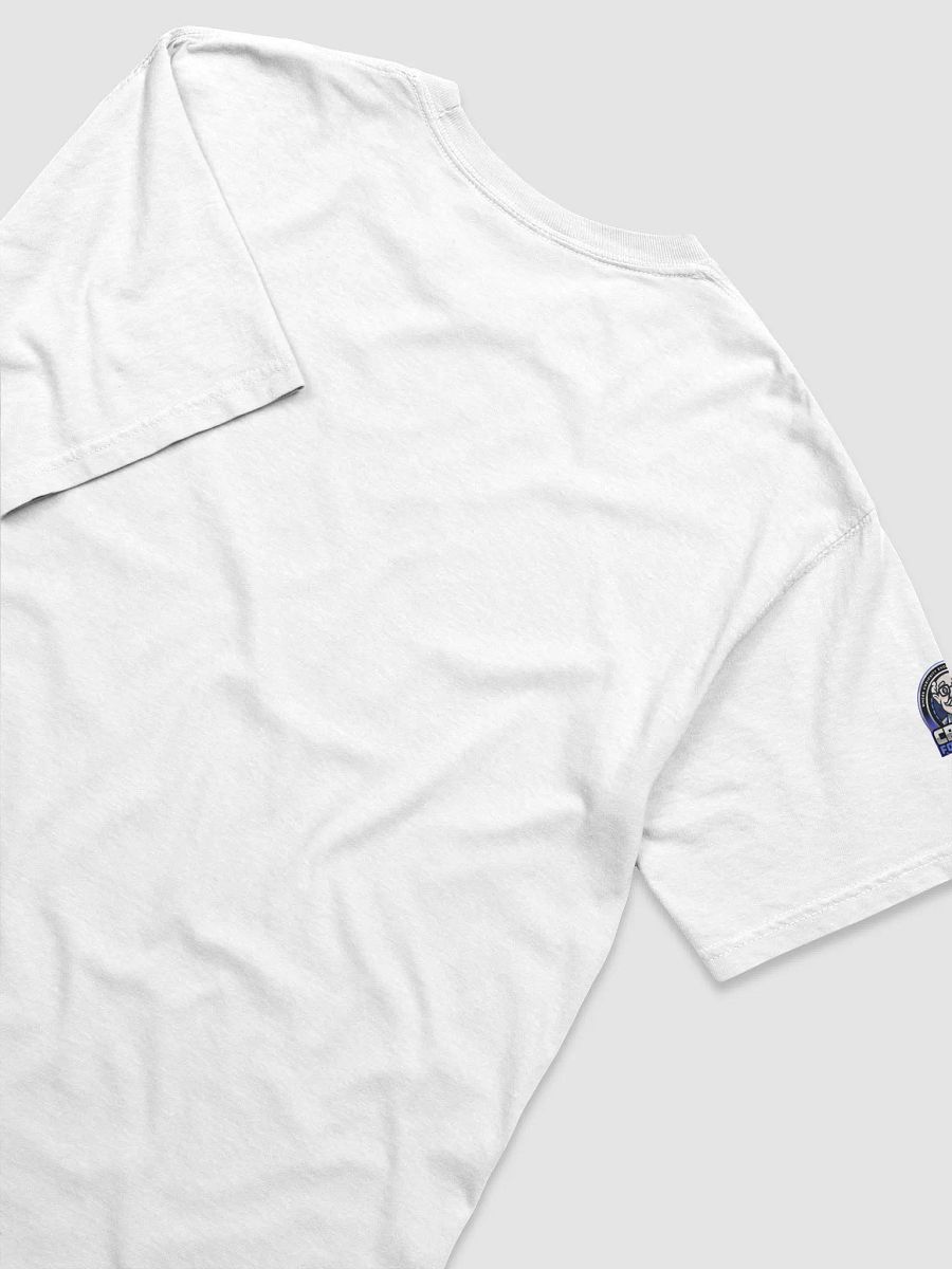 Bitcoin Heavyweight T-Shirt product image (4)