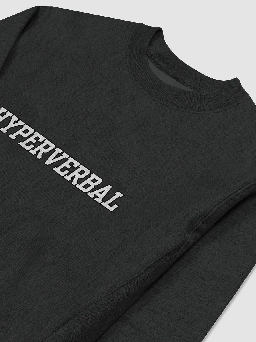 HYPERVERBAL Champion crewneck product image (3)