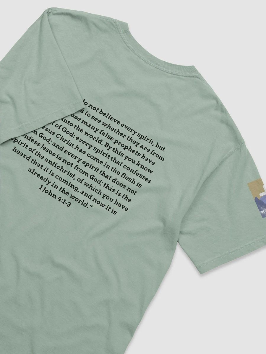 "Nice Isn't Christian" T-Shirt product image (4)