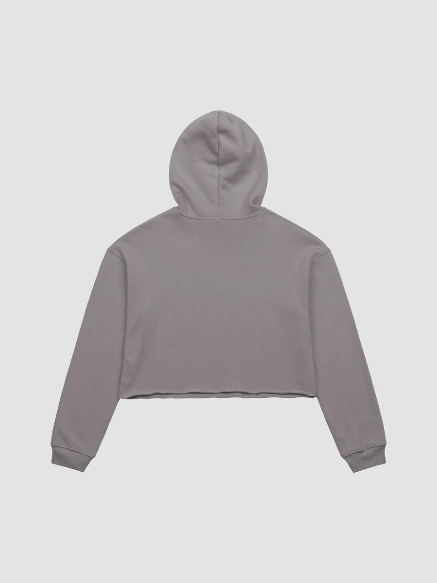 Aliens confused by beer, chic supersoft crop hoodie product image (2)