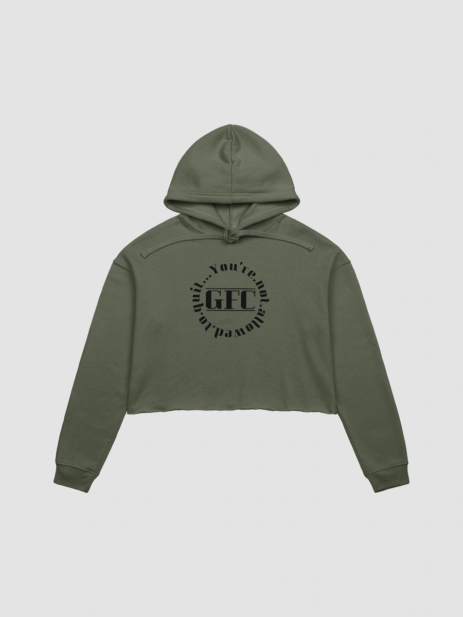 YNATQ Circle Crop Hoodie product image (3)
