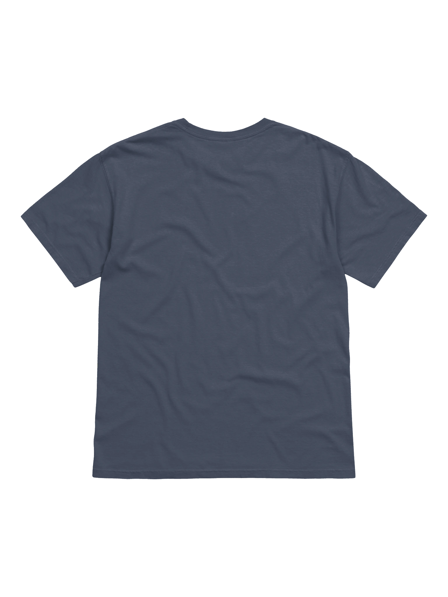 The President T Shirt product image (3)