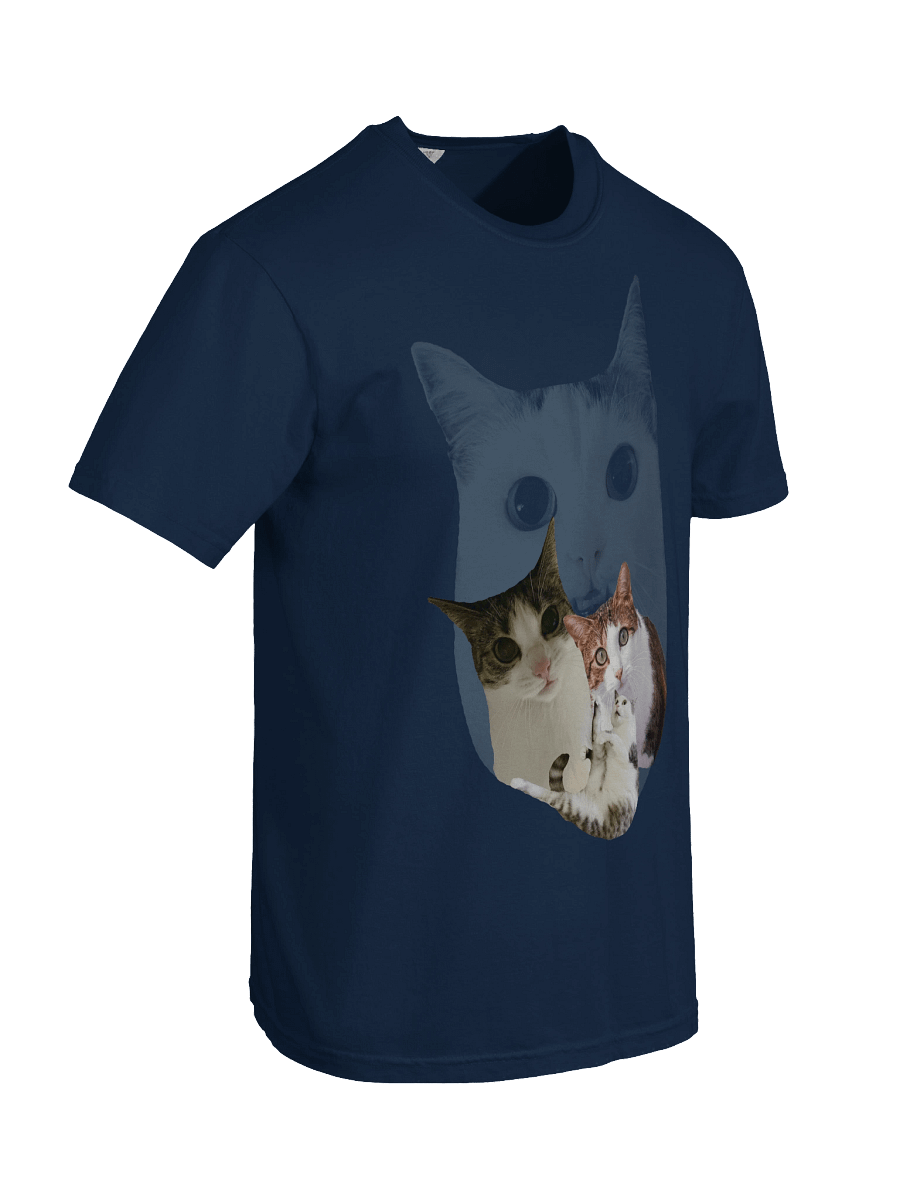 Luna Mia Neko Meme Shirt product image (78)