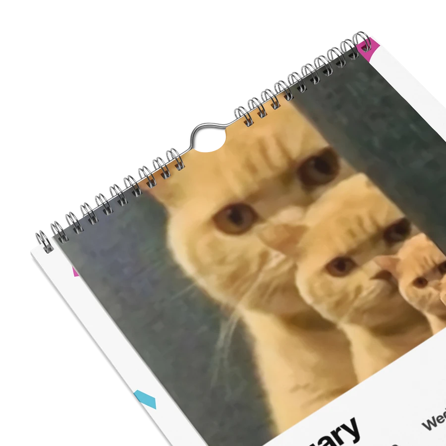 Wall Calendar (2024): Meme Cats product image (9)