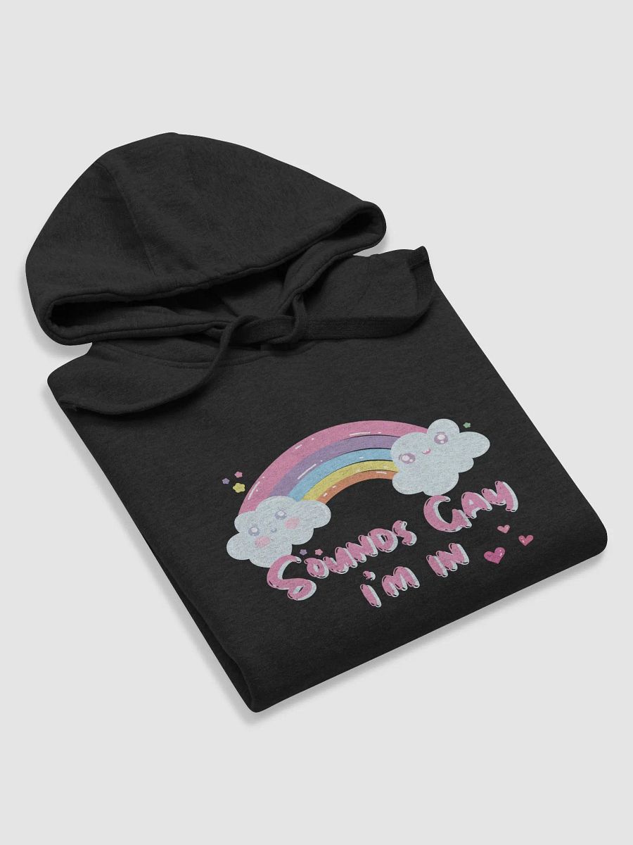 Sounds Gay Hoodie product image (6)