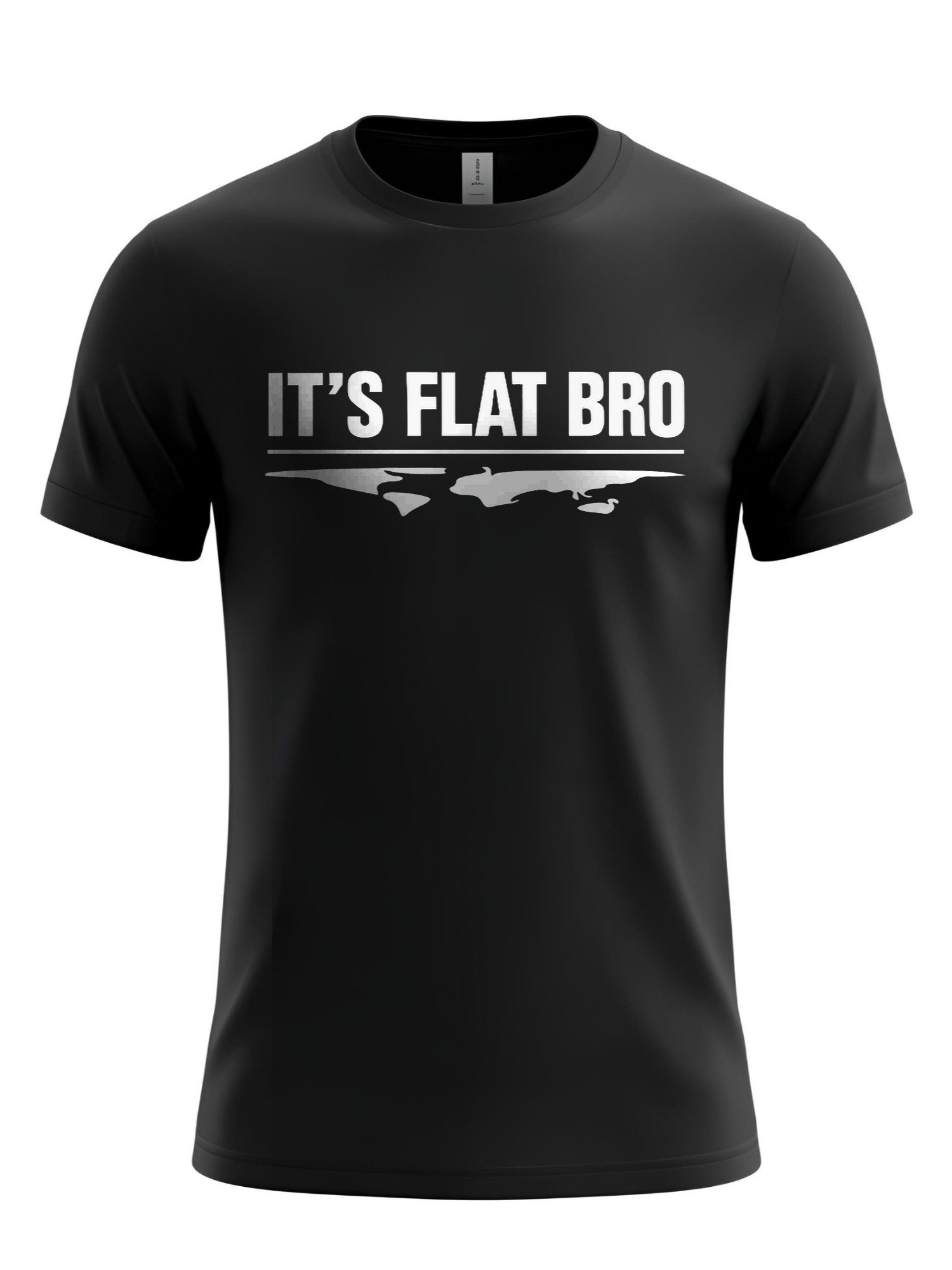 IT'S FLAT BRO T-Shirt - Bold Statement Tee, Flat Earth Humor, Conspiracy Theory Apparel, Unique Gift for Skeptics product image (1)