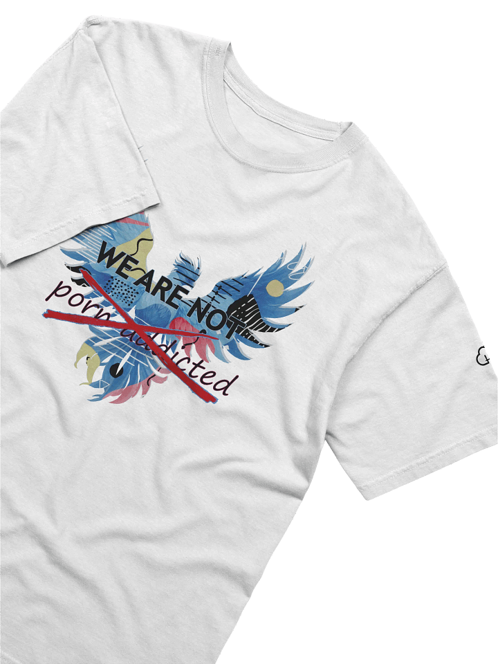 We are NOT porn addicted t-shirt product image (1)