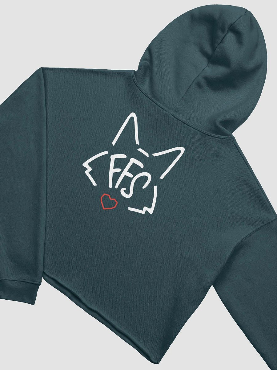FFS Cropped Hoodie product image (26)