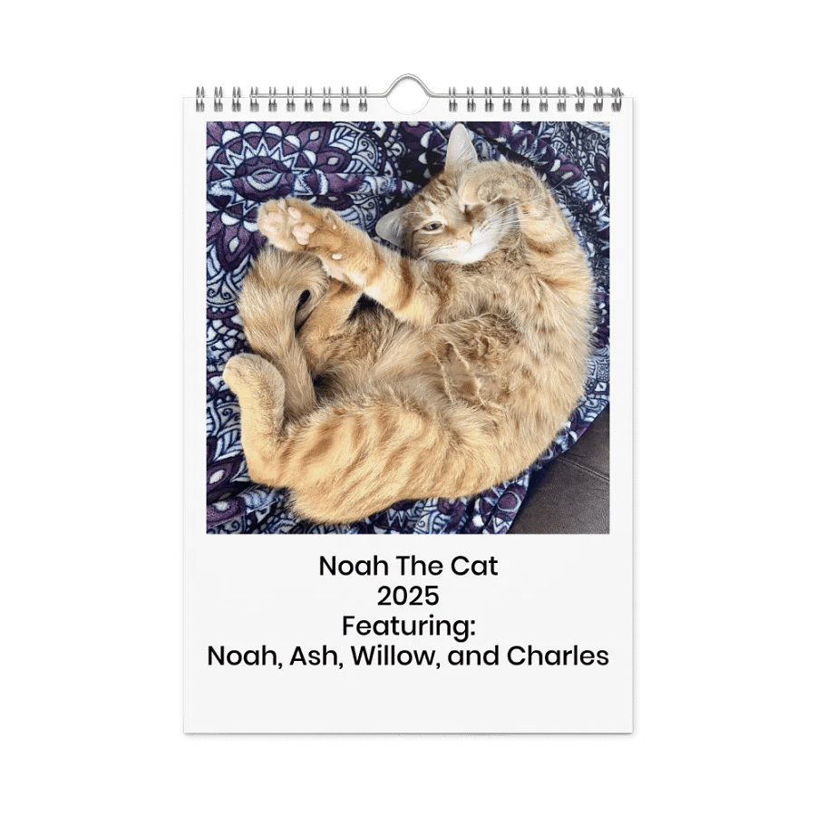 Noah and Friends 2025 Calendar product image (3)