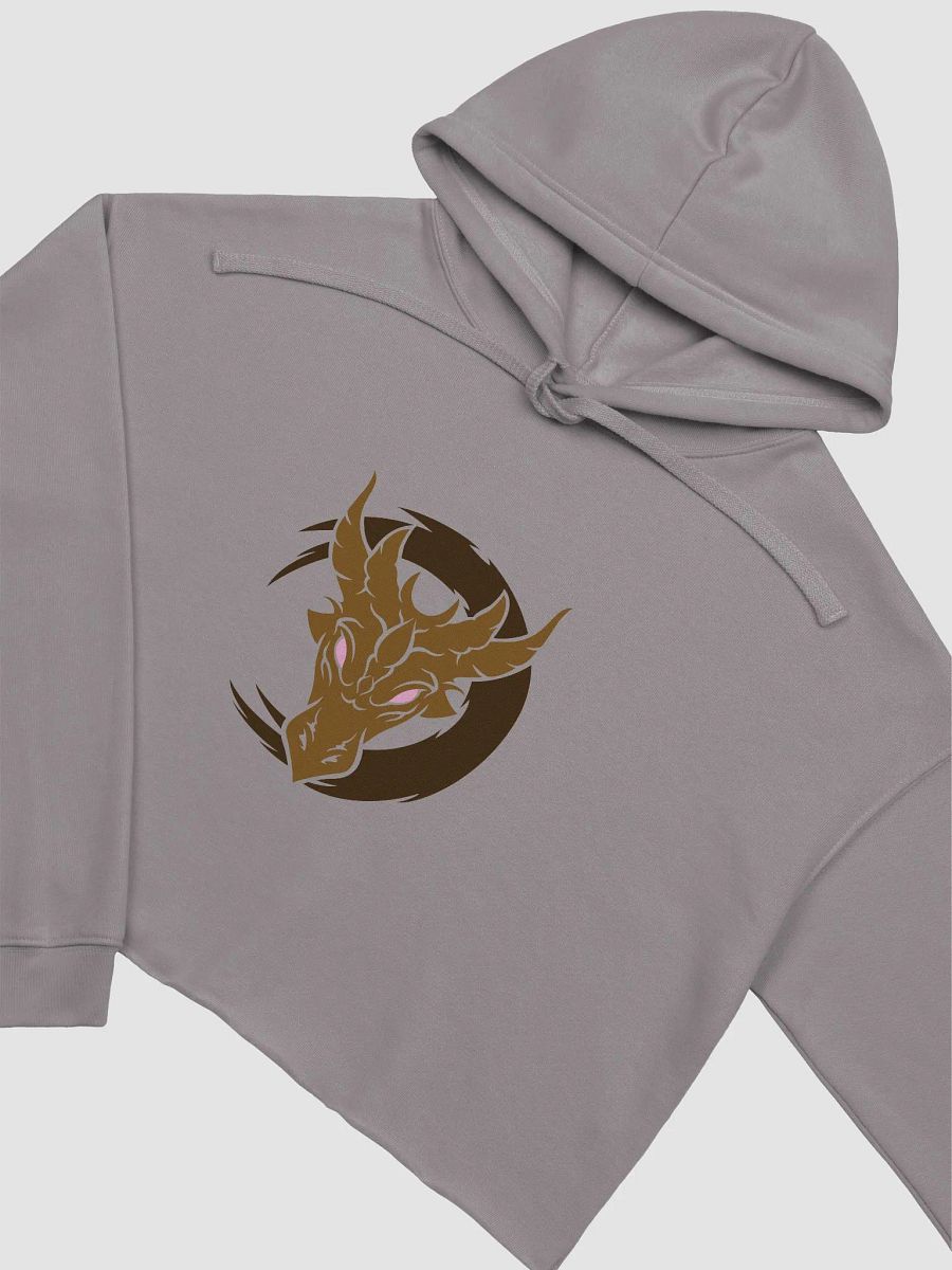 Crop Hoodie - Aerinda Karasha product image (19)