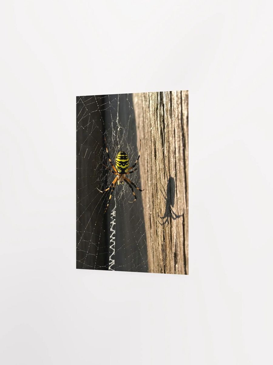 Golden Web: Yellow Garden Sentinel Poster product image (2)
