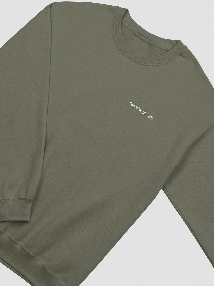 Too Wise to care Cat Wisdom Embroidered Sweatshirt product image (1)