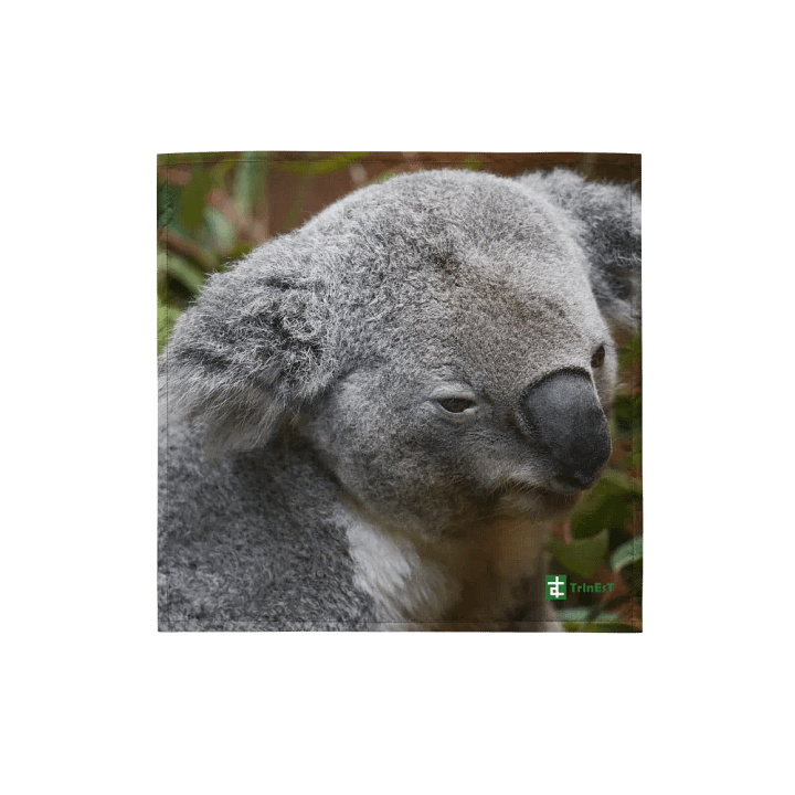 Koala Bandana product image (1)