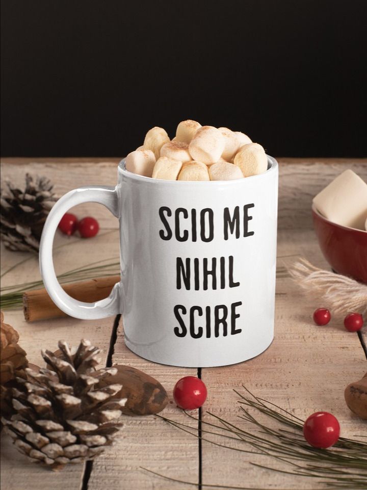 Scio Me Nihil Scire Mug product image (2)