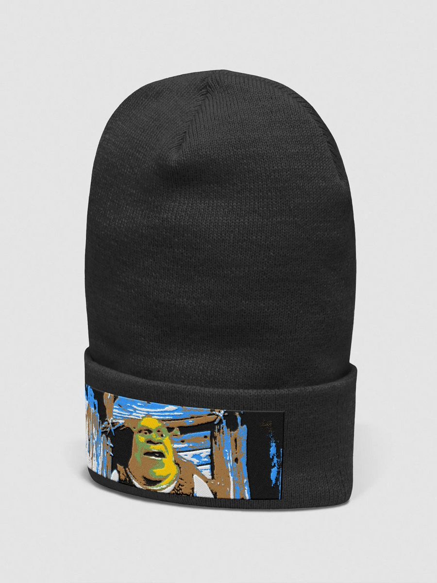 Shrek hat product image (2)