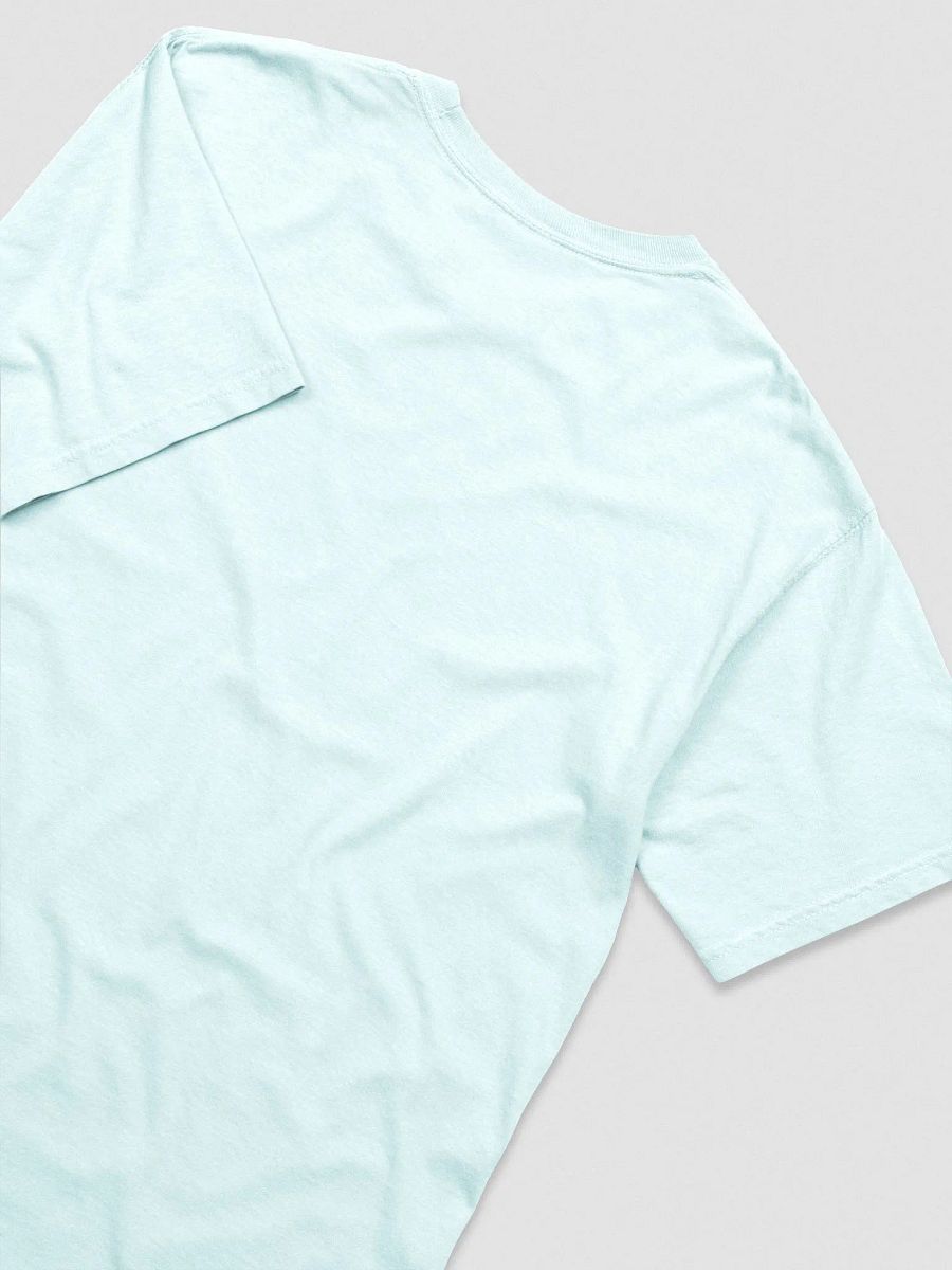 E&E T-shirt (Black Logo) product image (4)