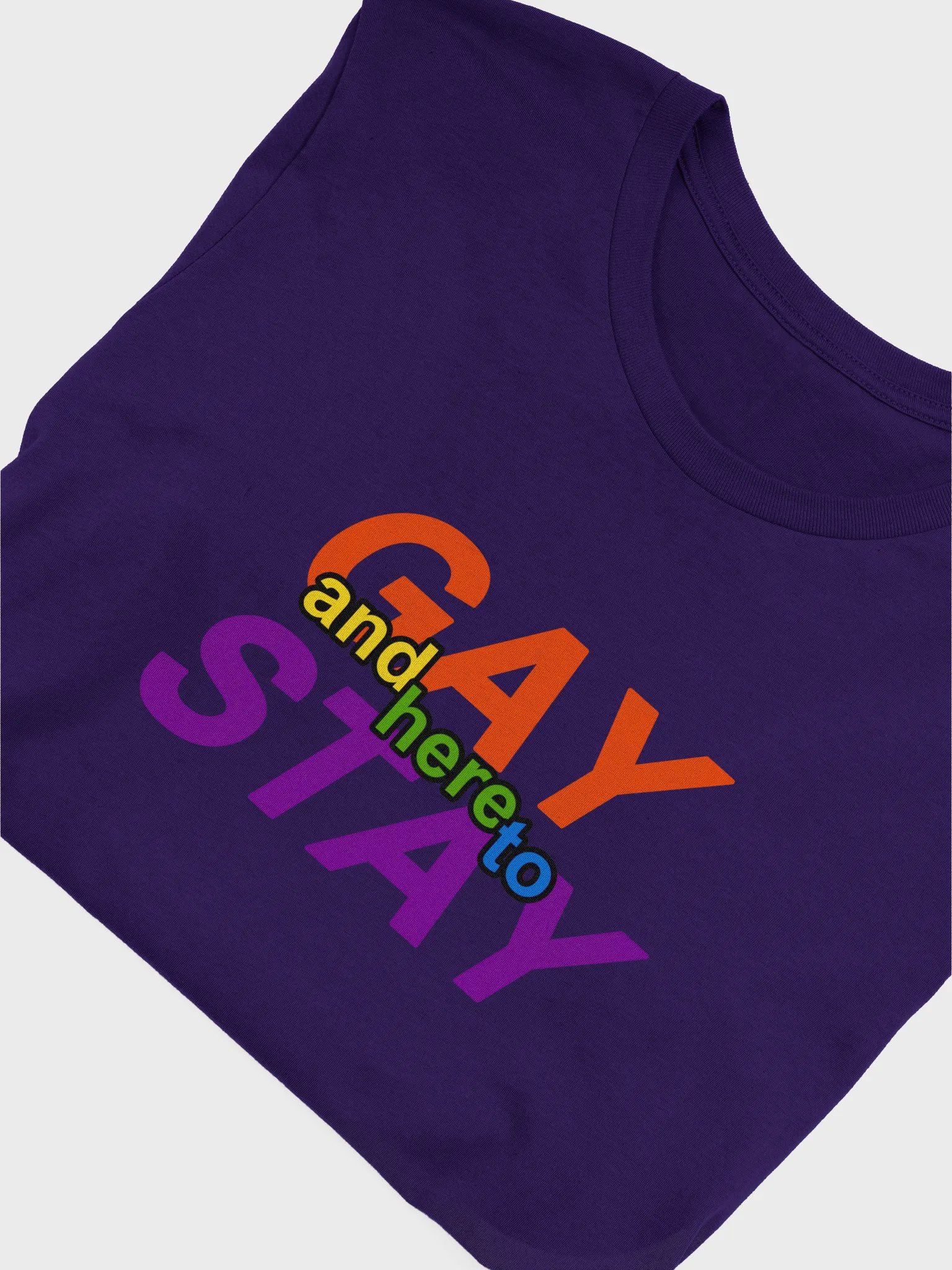 gay and here to stay (rainbow) t-shirt product image (5)