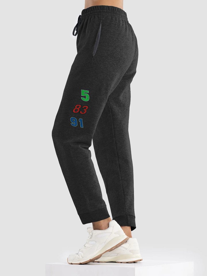 Triple B Racing numbers jogger pants (Black) product image (2)