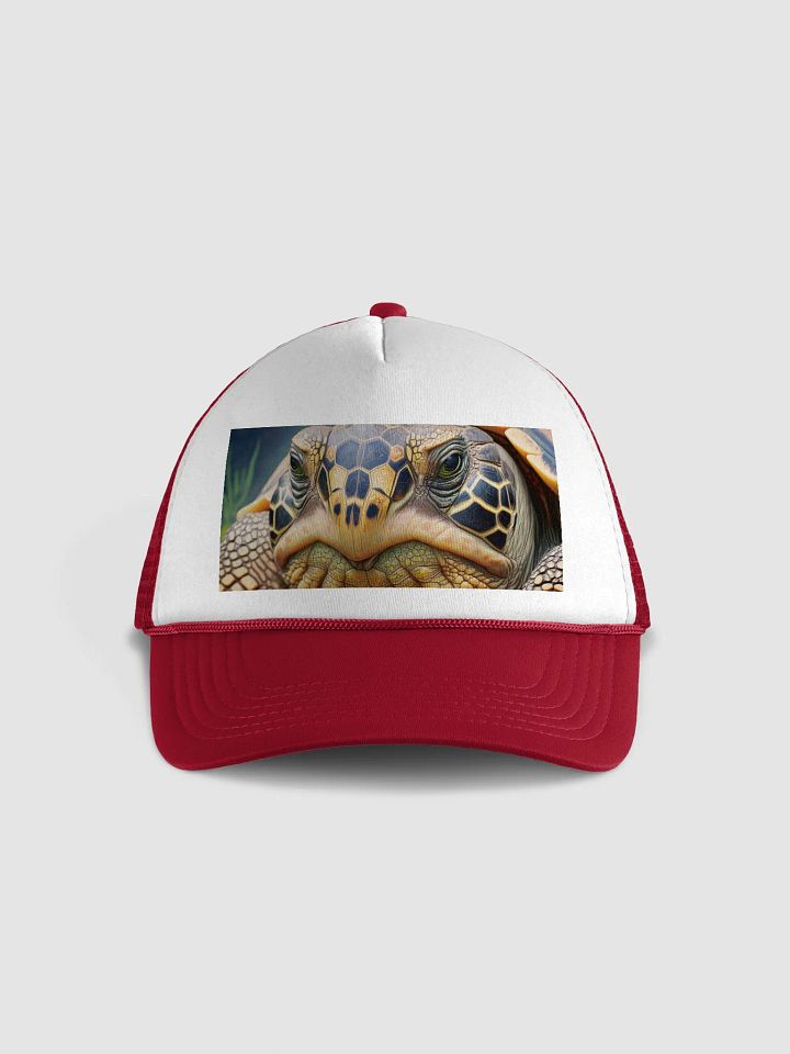 rewrite the main title and product listings details. add more engaging content. product image (25)