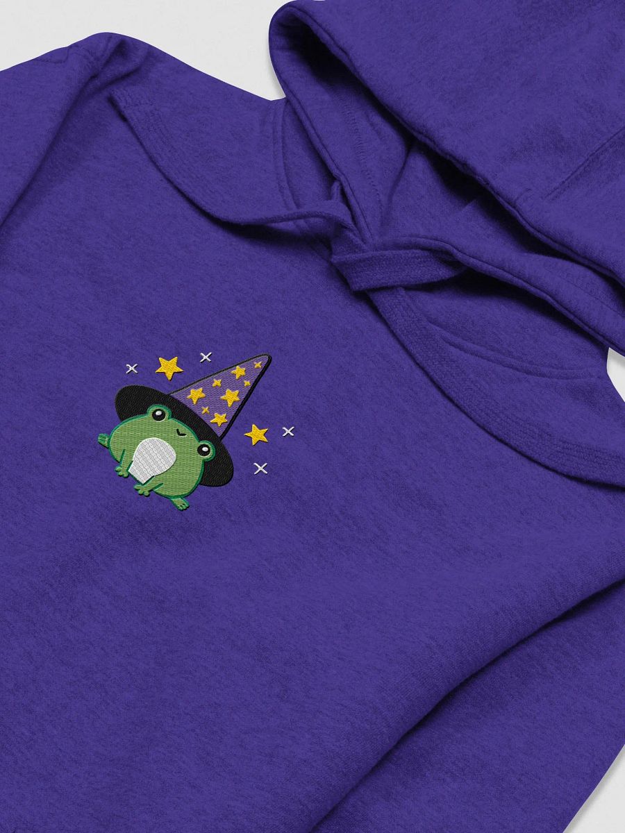 Enchanted Frog Wizard Embroidered Unisex Hoodie product image (7)