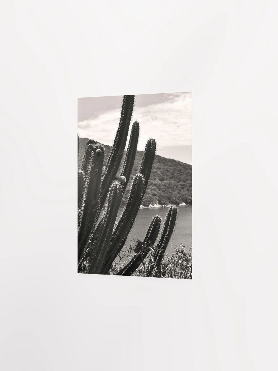 Mexico Lindo - Enhanced Matte Paper Poster product image (3)